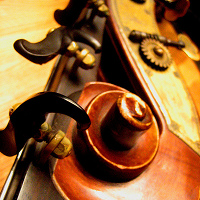 How to Introduce Variety In Your Basslines