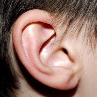 6 Apps & Websites to Get Your Ear in Shape