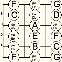 An Overview of the CAGED System