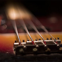 How to Make Your DIed Bass Guitar Sound Better – Audio Premium