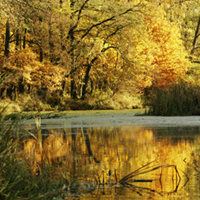 12 Ambient Field Sounds Pack 1 – Audio Plus